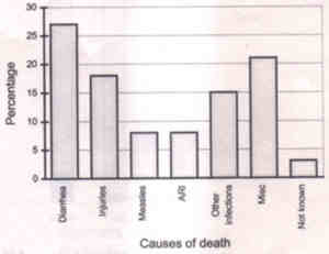 Fig. 6. Bar diagram for causes of child (1 to 5 years age) deaths of 39 children. Data source: Hirve and Ganatra(3)