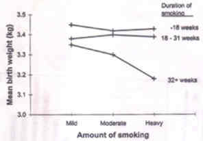 Fig. 9. Line diagrams showing the trend of mean birth weight of newborns by amount of smoking of mother. 