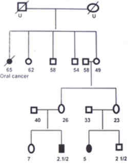 Fig. 1. Pedigree of Neuroblastoma family 1.