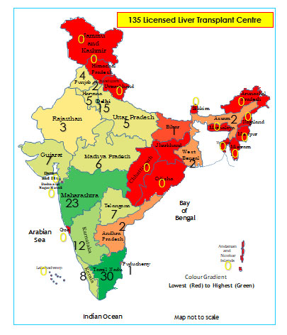 Pediatric Liver Transplantation in India: 22 Years and Counting