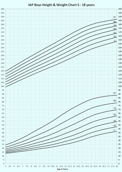 Height And Weight Chart Teenager