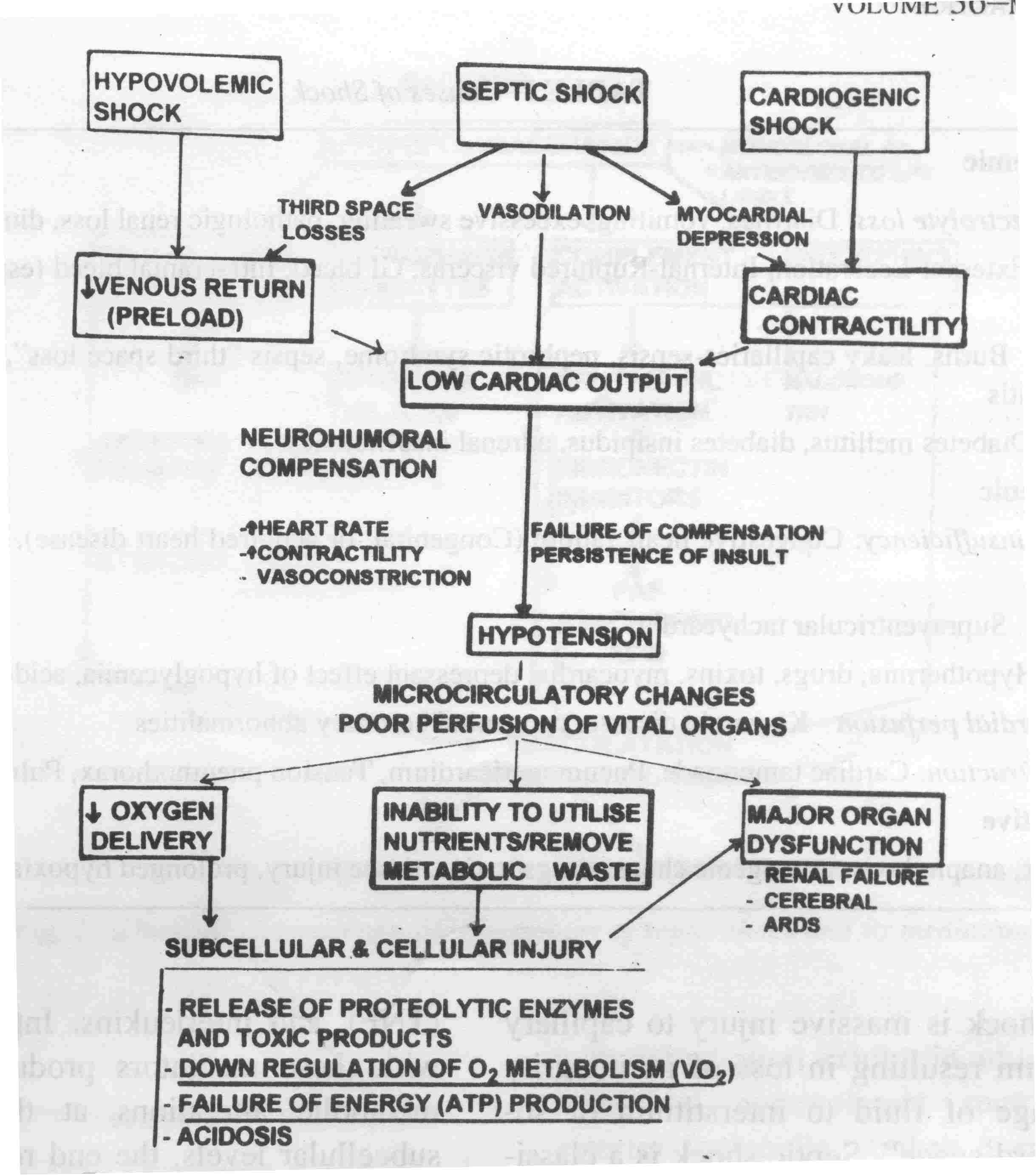 septic shock pathophysiology flowchart