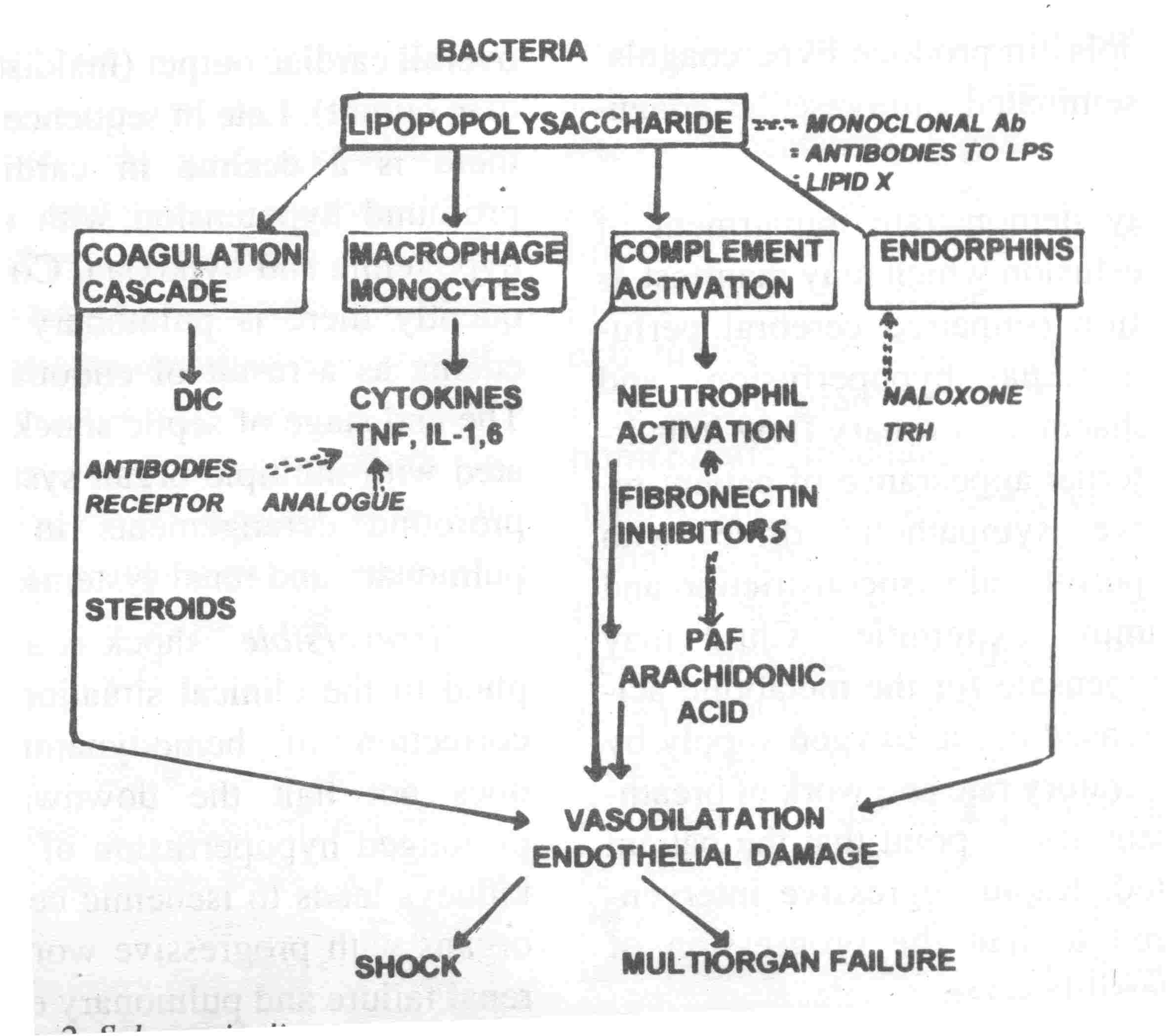 Shock Flow Chart